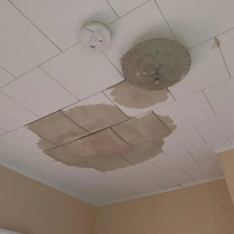 Ceiling Water Damage Repair in Shelton, CT