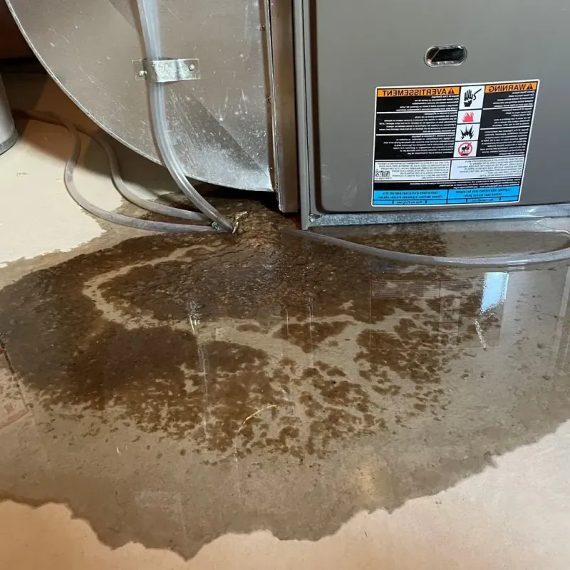 Pipe Burst and Leak Restoration in Shelton, CT