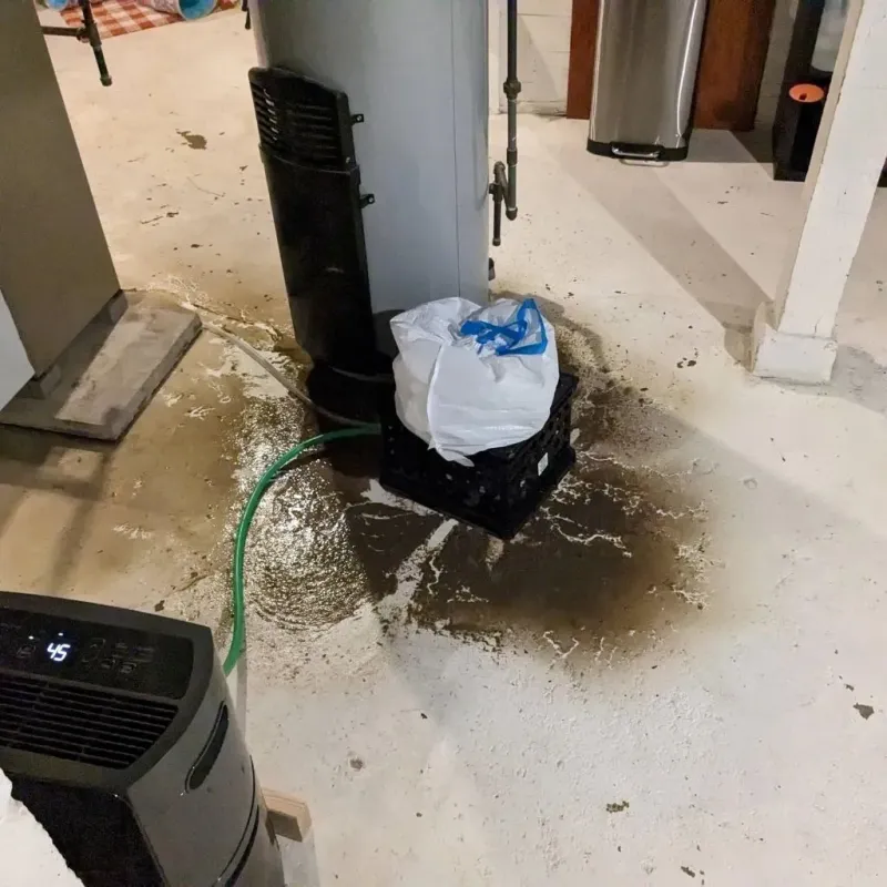 Sewage Backup Cleanup Service in Shelton, CT